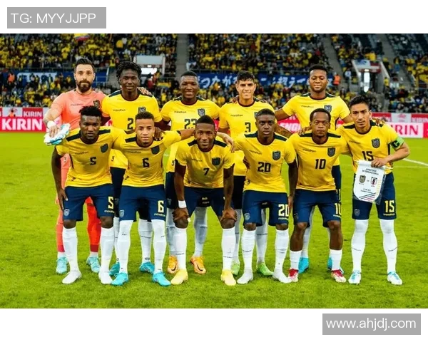 2017年阿根廷与厄瓜多尔激战回顾：世界杯预选赛的关键一役