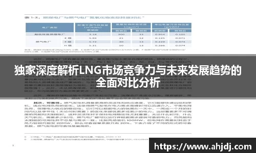 独家深度解析LNG市场竞争力与未来发展趋势的全面对比分析