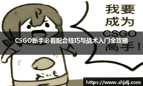 CSGO新手必看配合技巧与战术入门全攻略