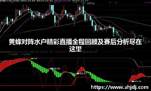黄蜂对阵水户精彩直播全程回顾及赛后分析尽在这里